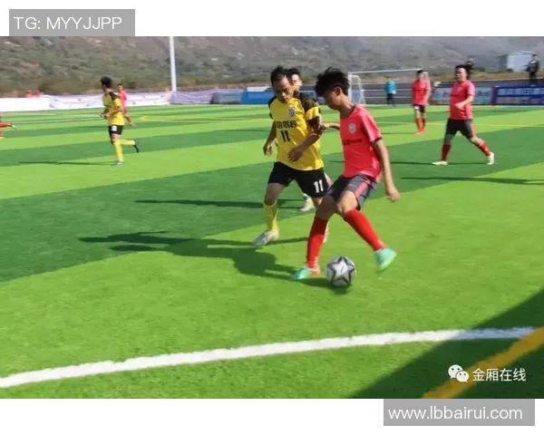 陆丰足球球星名单及其代表性成就分析